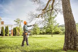 Woodbine, NJ Tree Removal Company