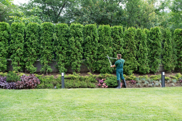 Best Landscape Design and Installation  in Woodbine, NJ