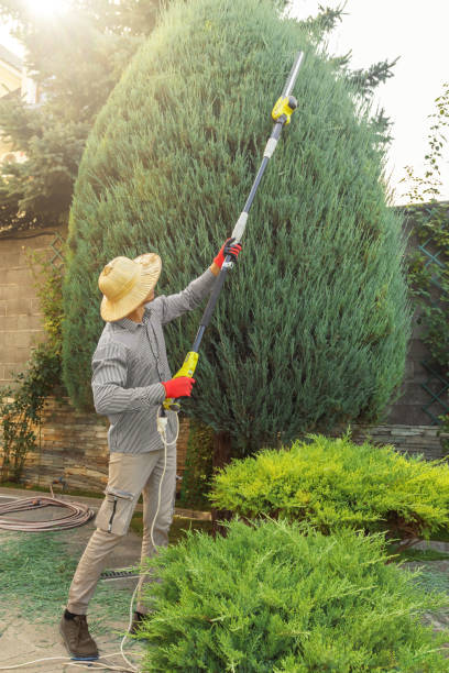 Best Commercial Tree Services  in Woodbine, NJ